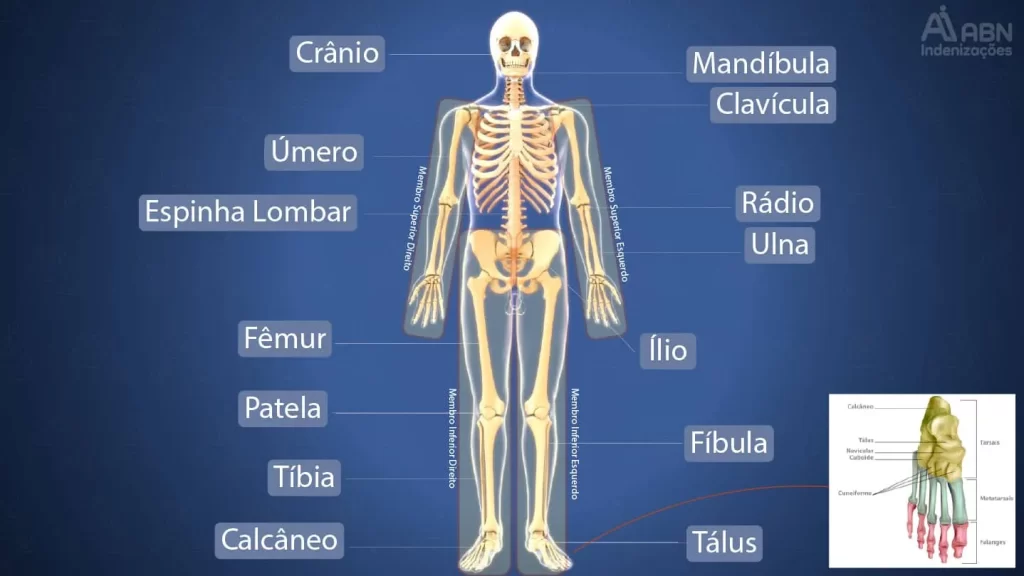 Tabela de valores de indenização